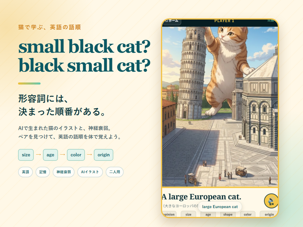 猫で学ぶ英語形容詞の紹介